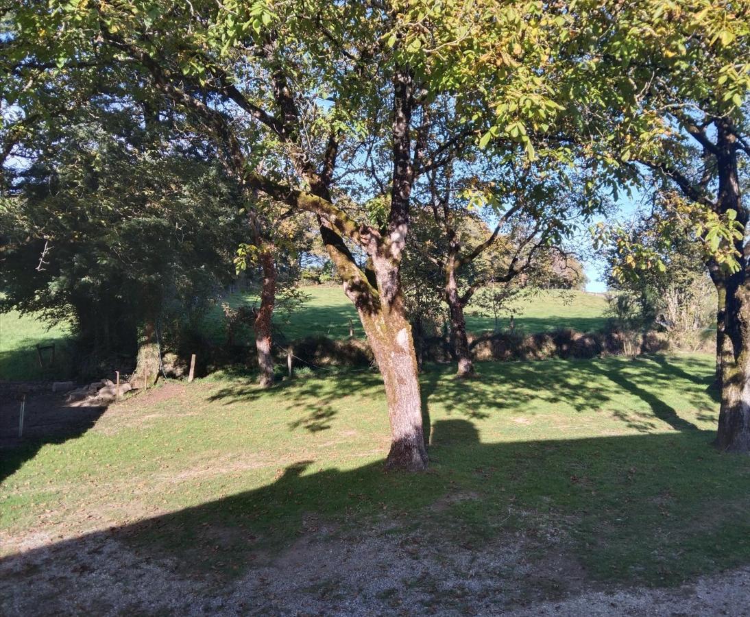 Sur La Colline Apartment Sousceyrac Bagian luar foto